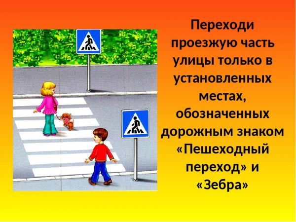 "Внимание! Пешеход", правила дорожного движения